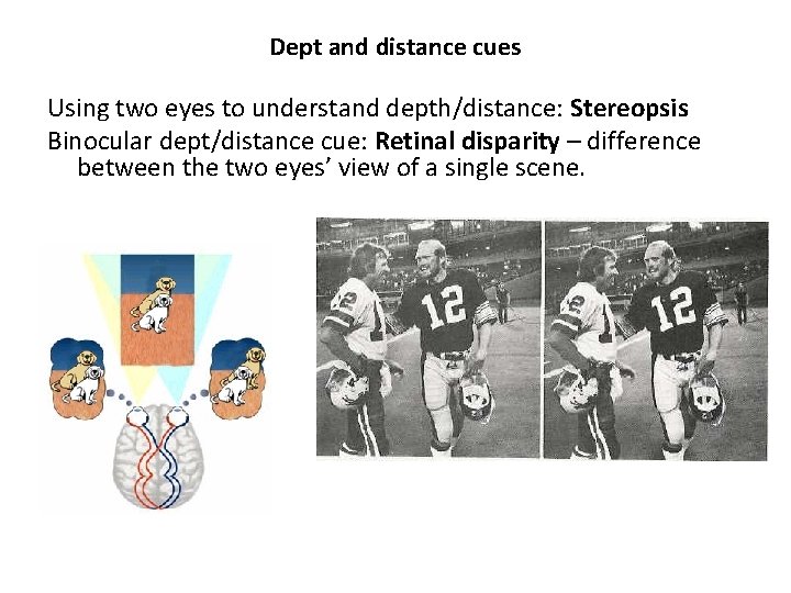 Chapter 8 Vision in three dimensions Basic issue