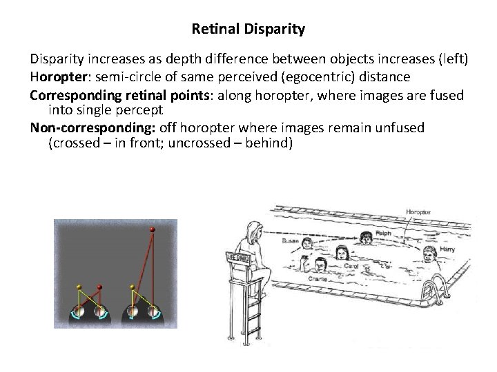 Chapter 8 Vision in three dimensions Basic issue