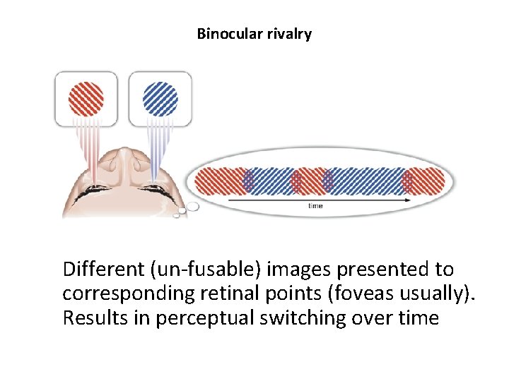 Chapter 8 Vision in three dimensions Basic issue