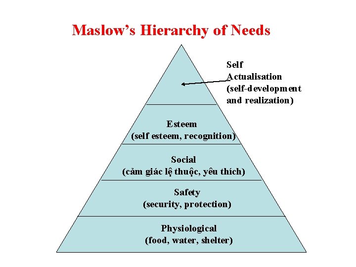 Maslow’s Hierarchy of Needs Self Actualisation (self-development and realization) Esteem (self esteem, recognition) Social