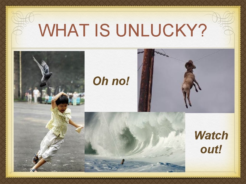 WHAT IS UNLUCKY? Oh no! Watch out! 