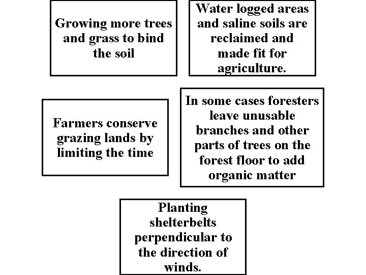 Growing more trees and grass to bind the soil Farmers conserve grazing lands by
