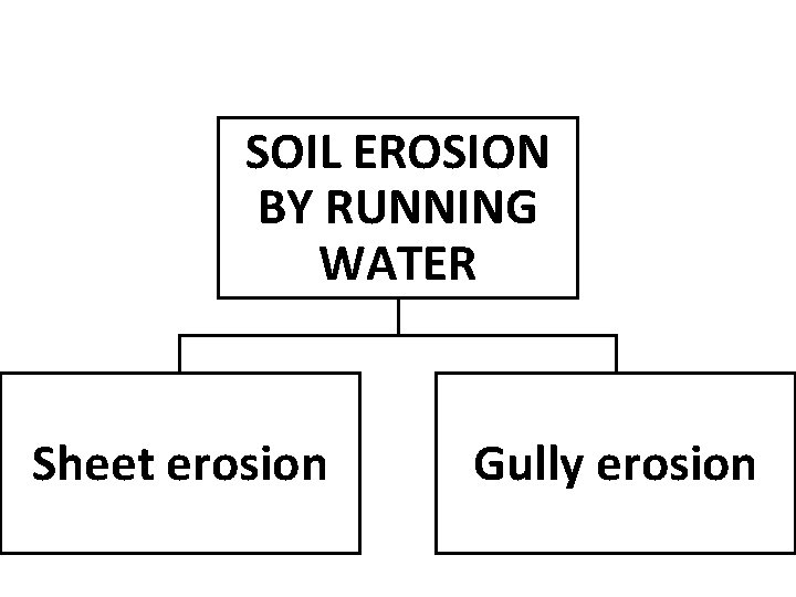 SOIL EROSION BY RUNNING WATER Sheet erosion Gully erosion 