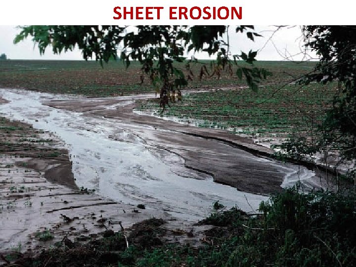 SHEET EROSION 