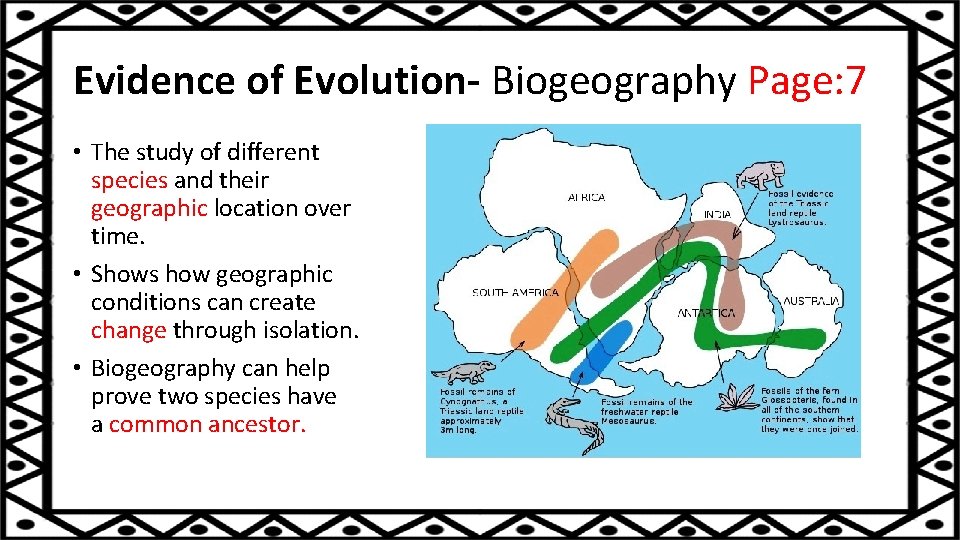 Evidence of Evolution- Biogeography Page: 7 • The study of different species and their