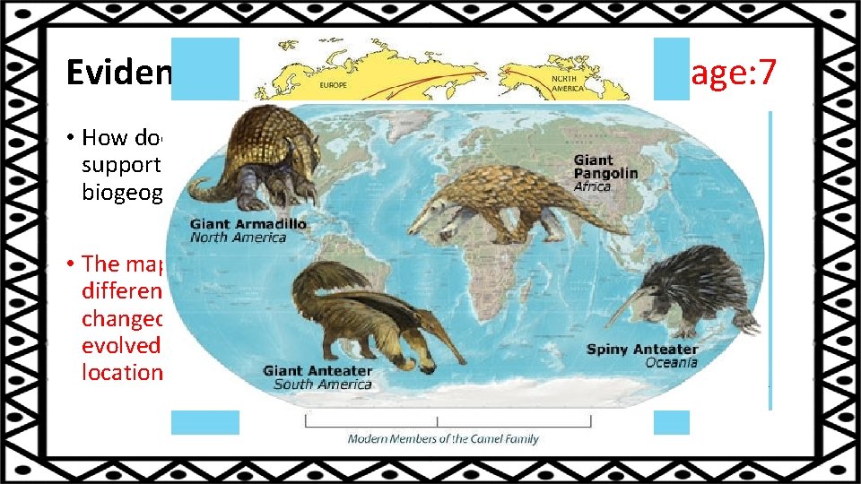 Evidence of Evolution- Biogeography Page: 7 • How does this map support biogeography? •