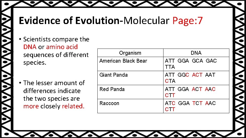 Evidence of Evolution-Molecular Page: 7 • Scientists compare the DNA or amino acid sequences