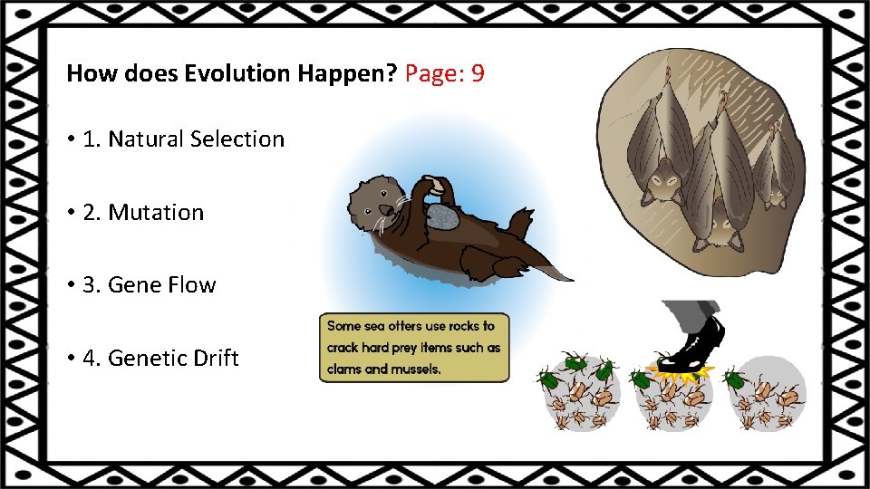 How does Evolution Happen? Page: 9 • 1. Natural Selection • 2. Mutation •