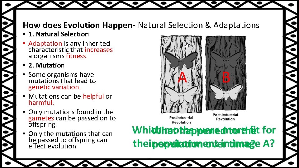 How does Evolution Happen- Natural Selection & Adaptations • 1. Natural Selection • Adaptation
