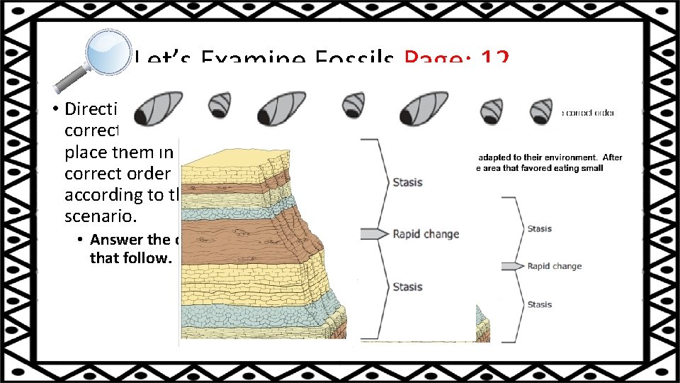 Let’s Examine Fossils Page: 12 • Directions: Cut out the correct fossils, and place