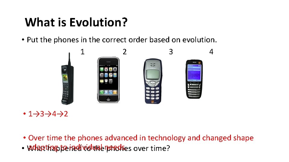 What is Evolution? • Put the phones in the correct order based on evolution.