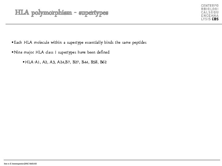HLA polymorphism - supertypes • Each HLA molecule within a supertype essentially binds the
