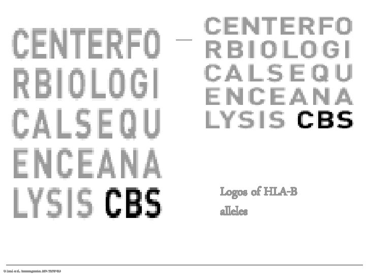 Logos of HLA-B alleles O Lund et al. , Immunogenetics. 2004 55: 797 -810
