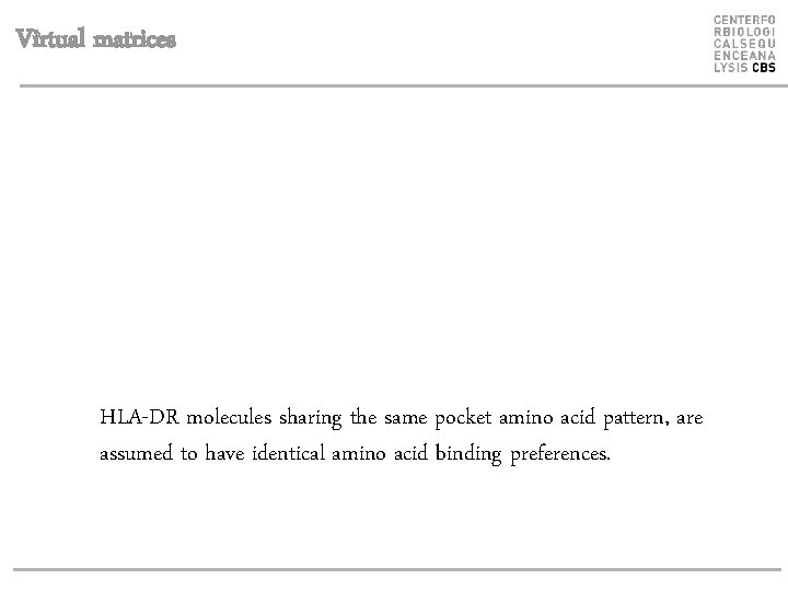 Virtual matrices HLA-DR molecules sharing the same pocket amino acid pattern, are assumed to