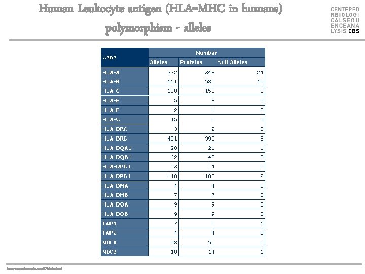 Human Leukocyte antigen (HLA=MHC in humans) polymorphism - alleles http: //www. anthonynolan. com/HIG/index. html