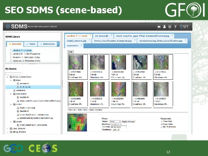 SEO SDMS (scene-based) 12 