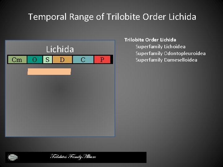 Temporal Range of Trilobite Order Lichida Superfamily Lichoidea Superfamily Odontopleuroidea Superfamily Dameselloidea 