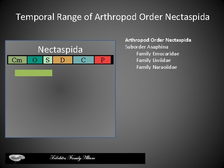 Temporal Range of Arthropod Order Nectaspida Suborder Asaphina Family Emucaridae Family Liwiidae Family Naraoiidae