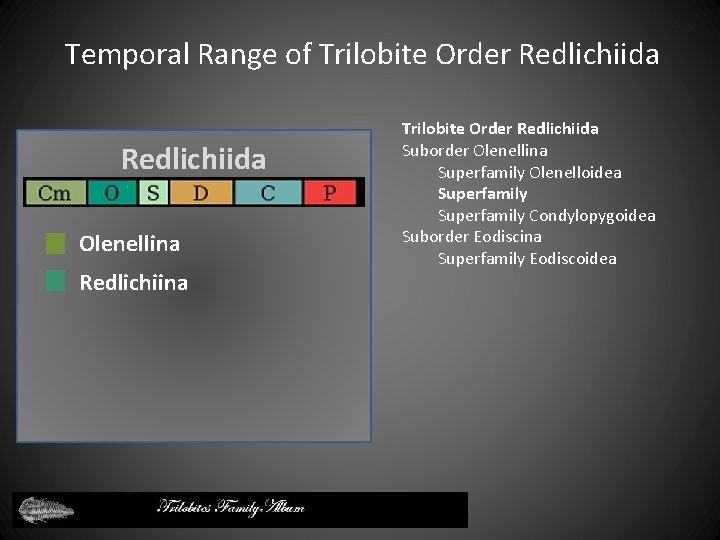 Temporal Range of Trilobite Order Redlichiida Olenellina Redlichiina Trilobite Order Redlichiida Suborder Olenellina Superfamily