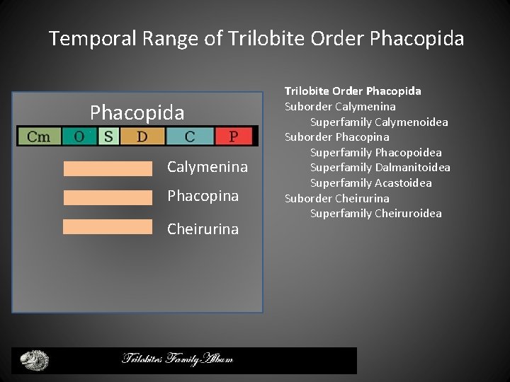 Temporal Range of Trilobite Order Phacopida Calymenina Phacopina Cheirurina Trilobite Order Phacopida Suborder Calymenina