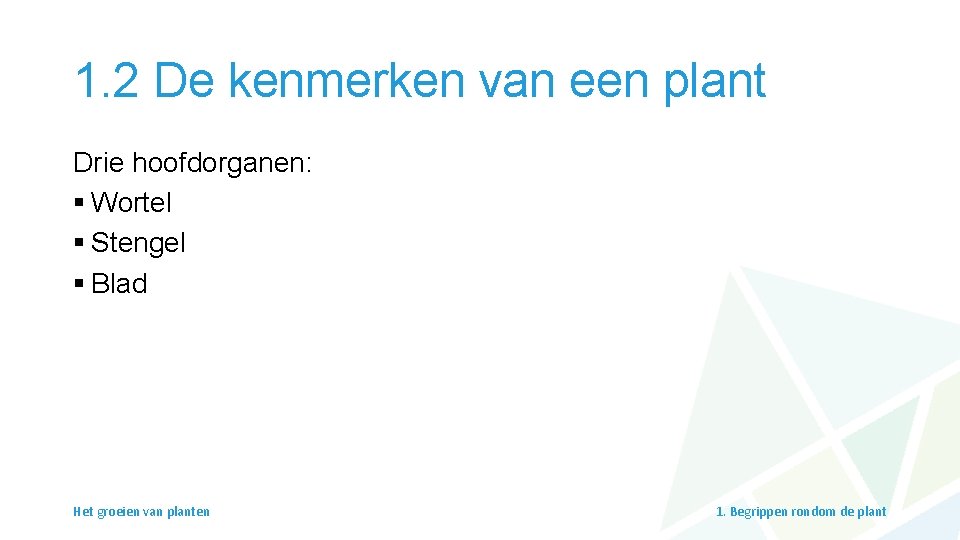 1. 2 De kenmerken van een plant Drie hoofdorganen: § Wortel § Stengel §