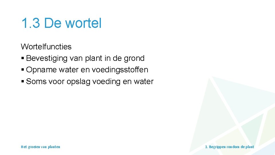 1. 3 De wortel Wortelfuncties § Bevestiging van plant in de grond § Opname