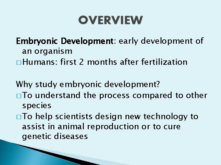 OVERVIEW Embryonic Development: early development of an organism � Humans: first 2 months after OVERVIEW Embryonic Development: early development of an organism � Humans: first 2 months after