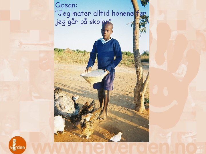 Ocean: ”Jeg mater alltid hønene før jeg går på skolen” 