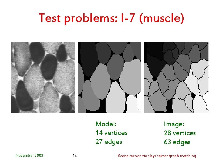 Test problems: I-7 (muscle) Model: 14 vertices 27 edges November 2002 24 Image: 28