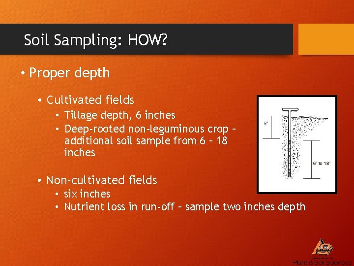 Soil Sampling: HOW? • Proper depth • Cultivated fields • Tillage depth, 6 inches