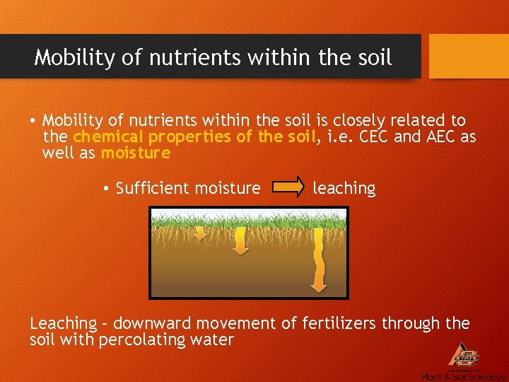 Mobility of nutrients within the soil • Mobility of nutrients within the soil is
