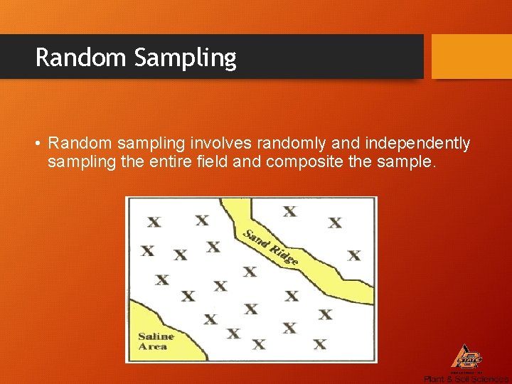 Random Sampling • Random sampling involves randomly and independently sampling the entire field and