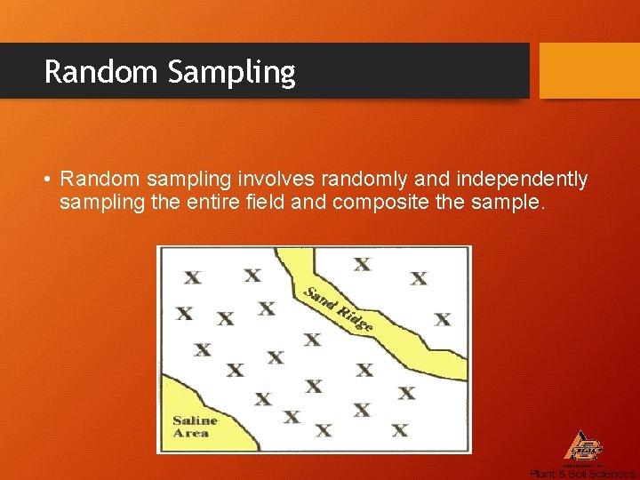 Random Sampling • Random sampling involves randomly and independently sampling the entire field and