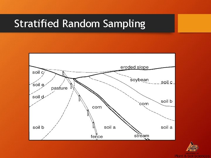 Stratified Random Sampling 