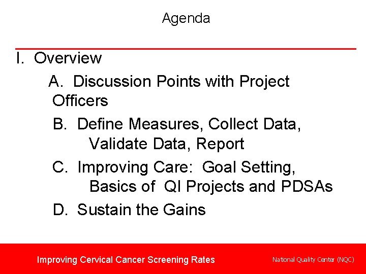 Agenda I. Overview A. Discussion Points with Project Officers B. Define Measures, Collect Data,