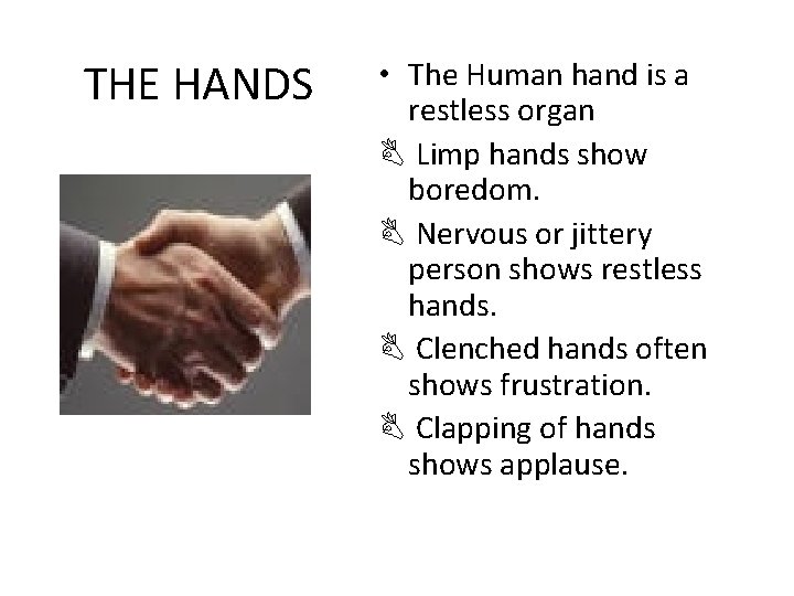 THE HANDS • The Human hand is a restless organ B Limp hands show