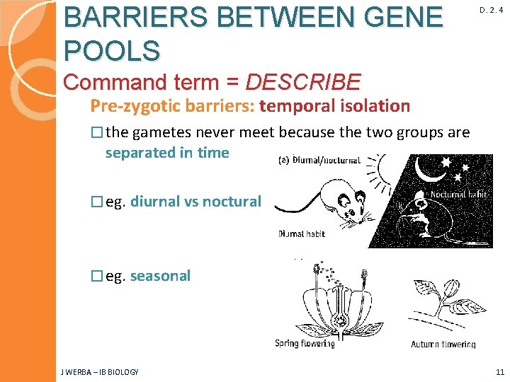 BARRIERS BETWEEN GENE POOLS D. 2. 4 Command term = DESCRIBE Pre-zygotic barriers: temporal