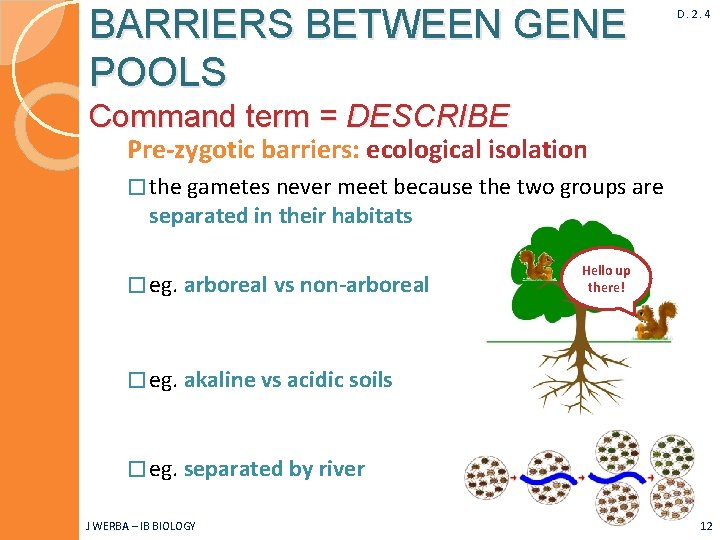 BARRIERS BETWEEN GENE POOLS D. 2. 4 Command term = DESCRIBE Pre-zygotic barriers: ecological