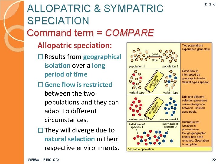 ALLOPATRIC & SYMPATRIC SPECIATION D. 2. 6 Command term = COMPARE Allopatric speciation: �