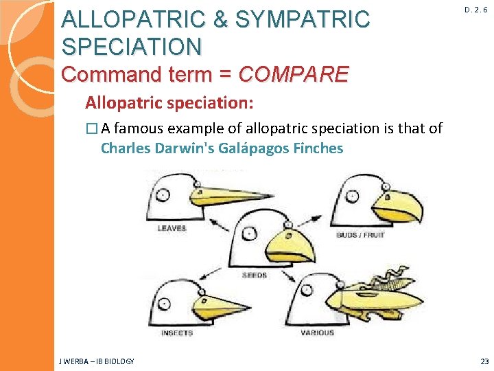 ALLOPATRIC & SYMPATRIC SPECIATION D. 2. 6 Command term = COMPARE Allopatric speciation: �