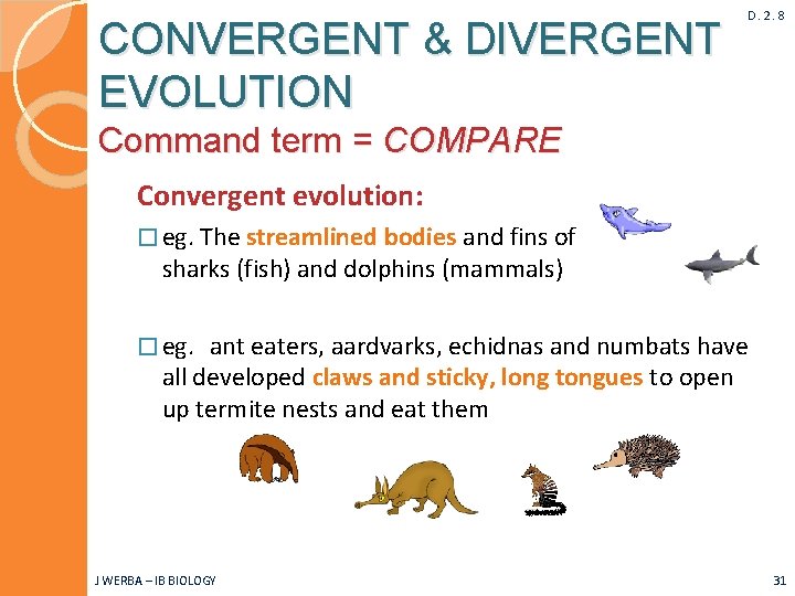 CONVERGENT & DIVERGENT EVOLUTION D. 2. 8 Command term = COMPARE Convergent evolution: �