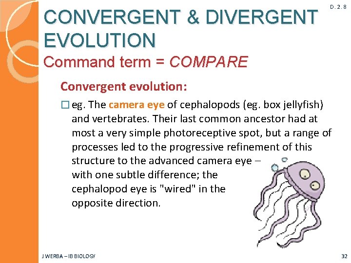 CONVERGENT & DIVERGENT EVOLUTION D. 2. 8 Command term = COMPARE Convergent evolution: �