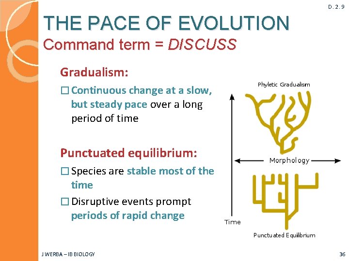 D. 2. 9 THE PACE OF EVOLUTION Command term = DISCUSS Gradualism: � Continuous