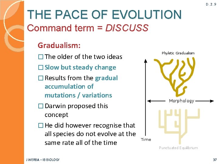 D. 2. 9 THE PACE OF EVOLUTION Command term = DISCUSS Gradualism: � The