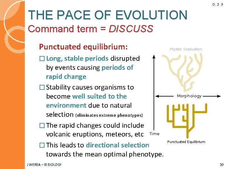 D. 2. 9 THE PACE OF EVOLUTION Command term = DISCUSS Punctuated equilibrium: �