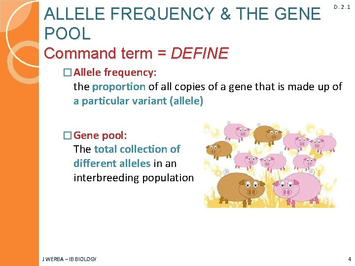 ALLELE FREQUENCY & THE GENE POOL D. 2. 1 Command term = DEFINE �