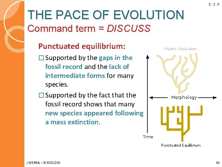 D. 2. 9 THE PACE OF EVOLUTION Command term = DISCUSS Punctuated equilibrium: �