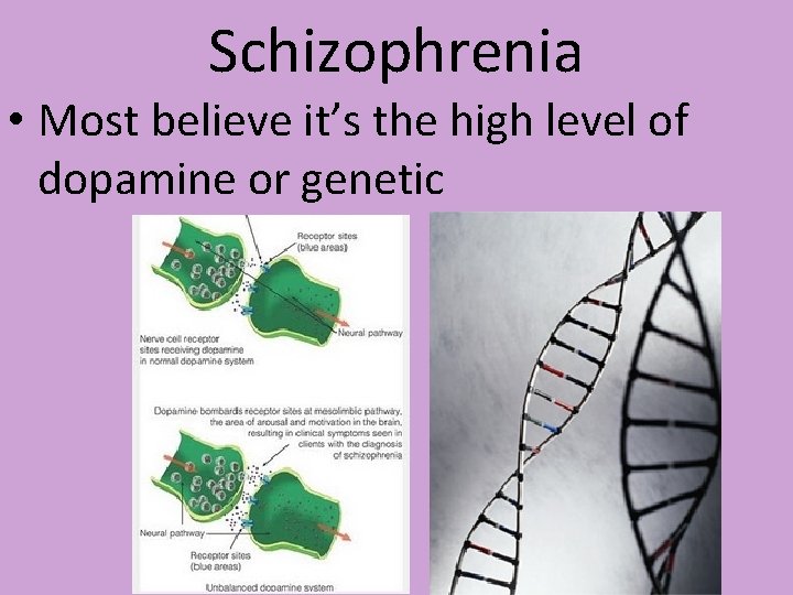 Schizophrenia • Most believe it’s the high level of dopamine or genetic Schizophrenia • Most believe it’s the high level of dopamine or genetic