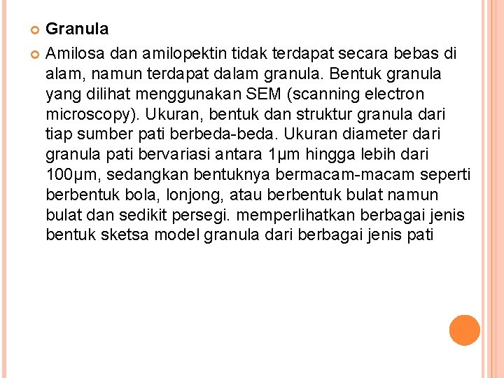 Granula Amilosa dan amilopektin tidak terdapat secara bebas di alam, namun terdapat dalam granula.