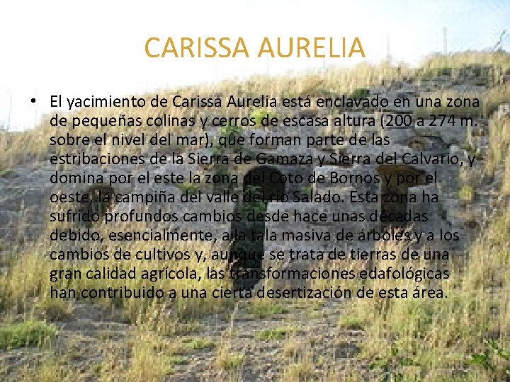 CARISSA AURELIA • El yacimiento de Carissa Aurelia está enclavado en una zona de